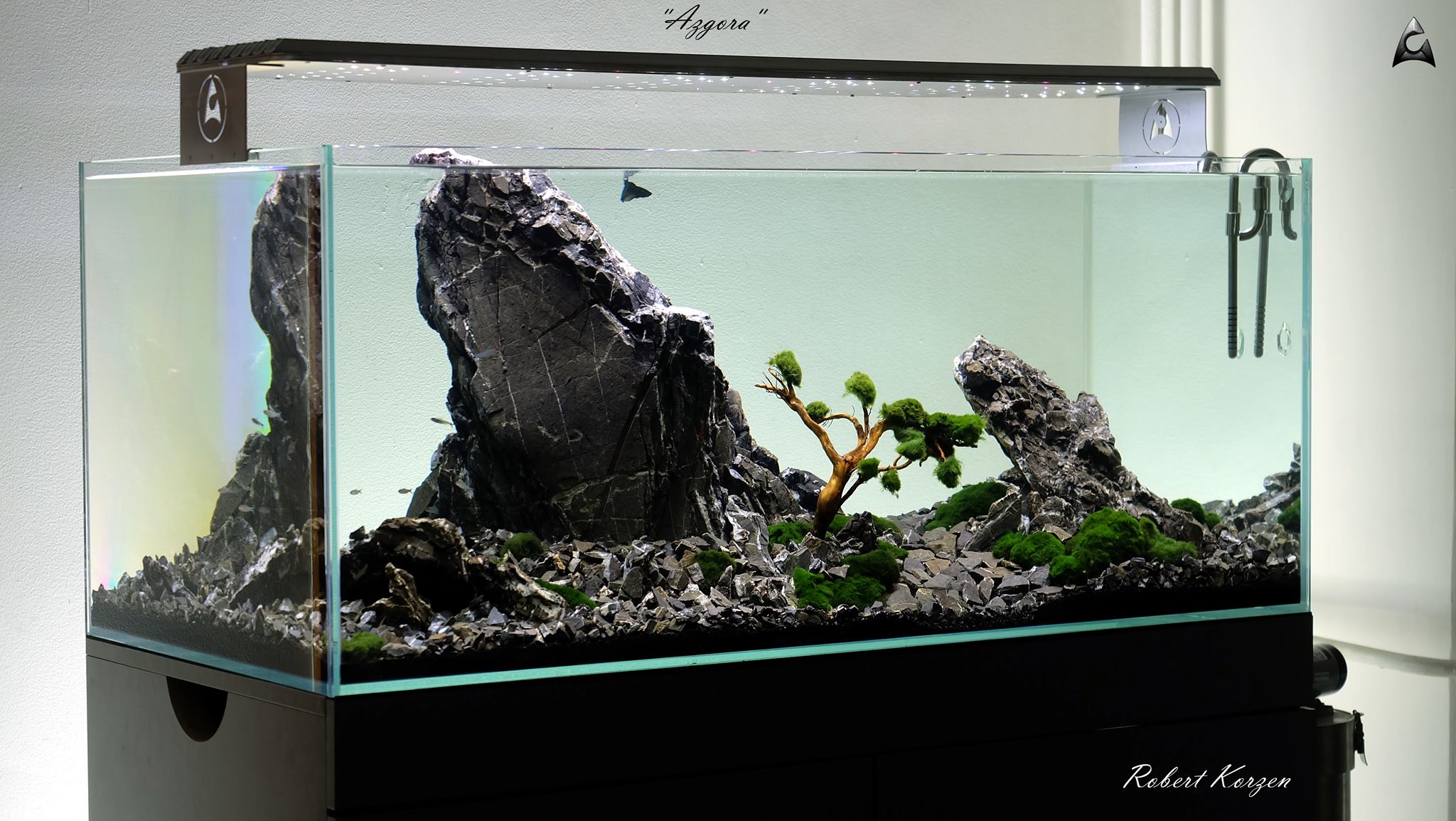Azgora-120x60x50-by-Rob