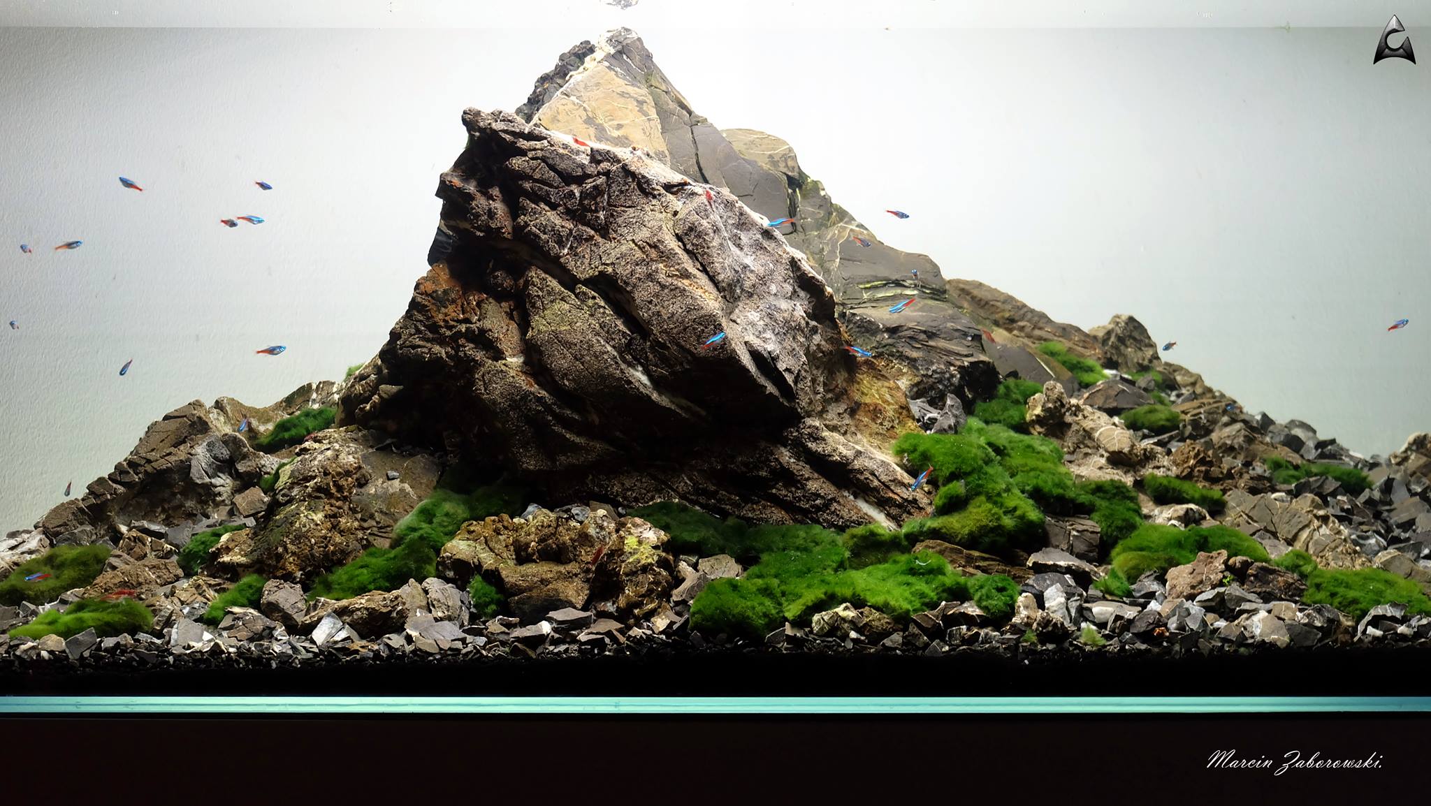 The-Grounders-120x60x50-360L
