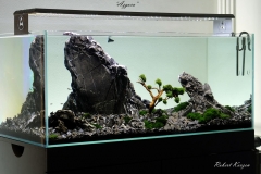 Azgora-120x60x50-by-Rob