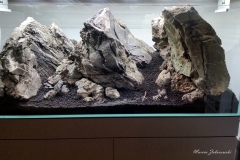 Mountain-Layout-by-Marcin-Zaborowski-120x60x50