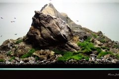 The-Grounders-120x60x50-360L